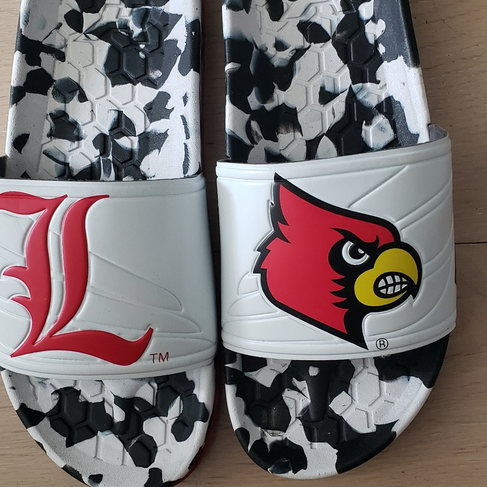 Louisville cardinals slides